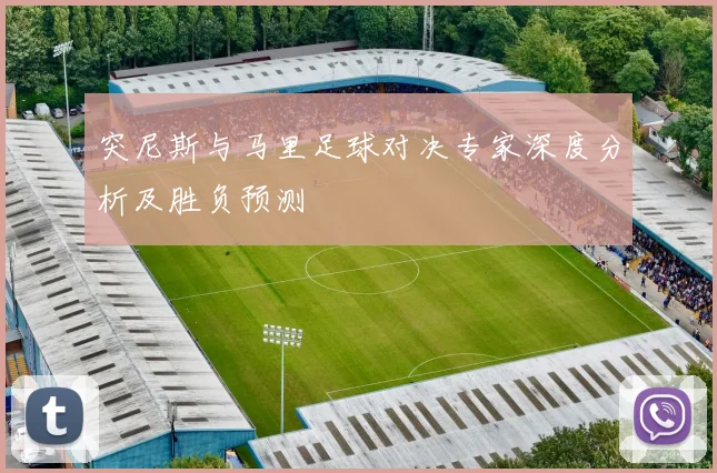 突尼斯与马里足球对决专家深度分析及胜负预测
